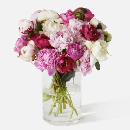 peonies for mothers day